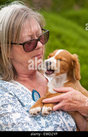 Frau mit Cocker Spaniel Welpen Stockfoto