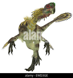 Citipati war ein Allesfresser theropoder Dinosaurier, der in der Mongolei während der Kreidezeit gelebt. Stockfoto