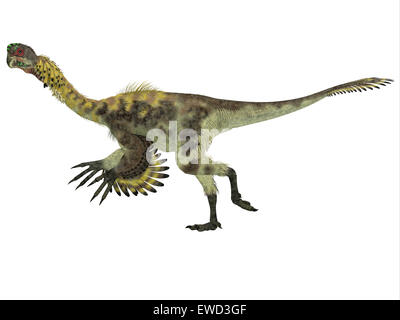 Citipati war ein Allesfresser theropoder Dinosaurier, der in der Mongolei während der Kreidezeit gelebt. Stockfoto