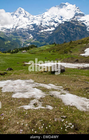 Berner Oberland-Region der Schweizer Alpen, mit der Monch und die Jungfrau Stockfoto