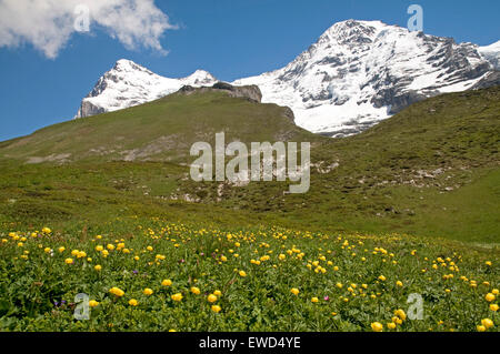 Berner Oberland-Region der Schweizer Alpen, mit den Eiger und die Monch in der Ferne Stockfoto