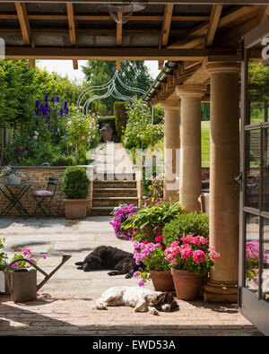 Blick von der Loggia, sonniger Garten mit schlafenden Hunde und Topfpflanzen Geranien nachschlagen Stockfoto