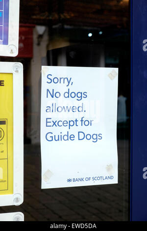 Beachten Sie im Fenster des britischen Bank sagen, mit Ausnahme von Blindenhunden keine Hunde für blinde Menschen Stockfoto