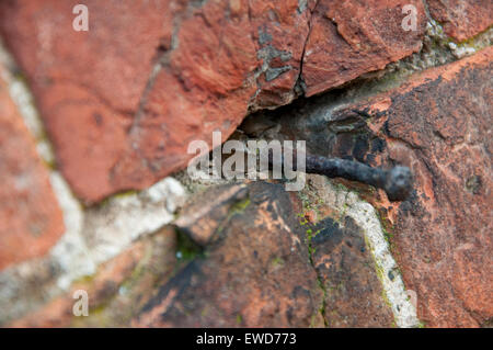 Rostigen Nagel in eine Wand an Wollaton Hall in Nottingham England UK Stockfoto