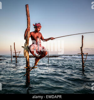 Stick Fischer Sri Lanka Stockfoto