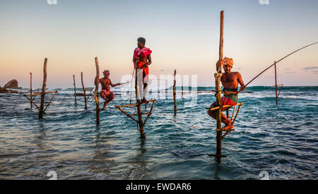 Stick Fischer Sri Lanka Stockfoto