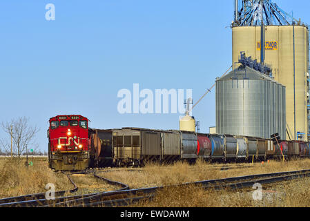 Ein horizontales Bild eines kanadischen nationalen Güterzugs laden Korn Stockfoto