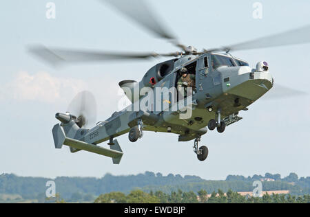 AgustaWestland Wildcat A H Mk 1 von RNAS Yeovilton, basiert die UKs Wildcat A H mk 1 Flotte an RNAS Yeovilton Stockfoto