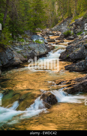 Cle Elum River, Okanogan-Wenatchee National Forest, Washington, USA Stockfoto