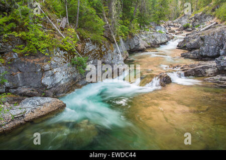 Cle Elum River, Okanogan-Wenatchee National Forest, Washington, USA Stockfoto