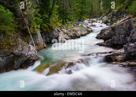 Cle Elum River, Okanogan-Wenatchee National Forest, Washington, USA Stockfoto