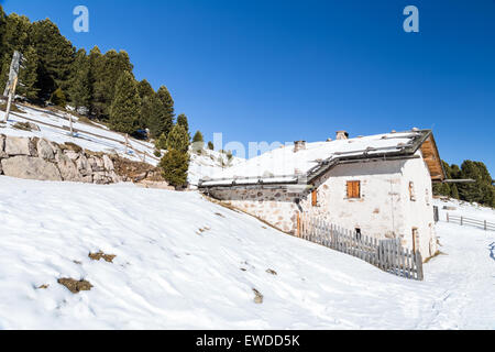 Alphütte, umgeben von einem Zaun im Schnee unter schneebedeckten Gipfeln und Kiefernwald an einem sonnigen Tag im winter Stockfoto