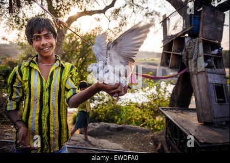 Ein Junge zeigt seine Taube in einem Dorf, Maharashtra, Indien. Stockfoto