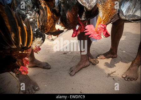 Anhänger nehmen Teil Kodungalloor Bharani Festival in Kerala, Indien. Stockfoto