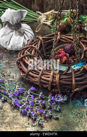 gesammelte und getrocknete Heilkräuter und Pflanzen für Kräuterkunde ist. Foto getönt Stockfoto