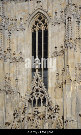 Detail der Stephansdom in Wien, Österreich Stockfoto