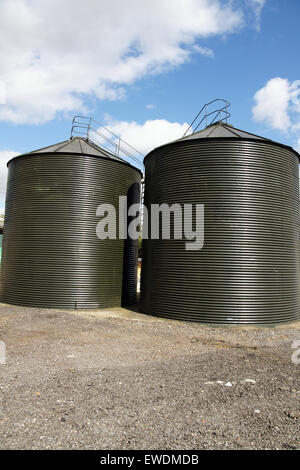 Silos zur Lagerung von Getreide und Futtermittel für Nutztiere auf dem Bauernhof Stockfoto