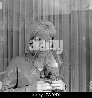 Deutsche Fictitious character Kerstin de Ahna in Hamburg, Deutschland 1960er Jahre. Die deutsche Schauspielerin Kerstin de Ahna in Hamburg, Deutschland 1960. Stockfoto