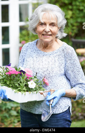 Portrait Of Senior Woman Blumen im Garten Pflanzen Stockfoto