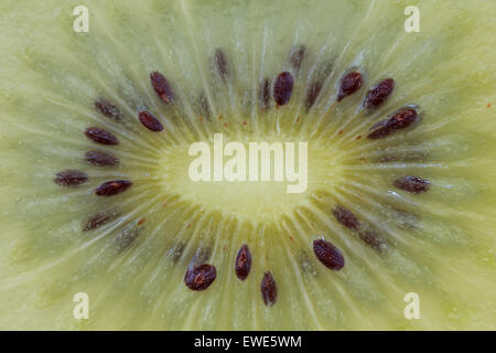 Eine Scheibe der goldenen kiwi Stockfoto