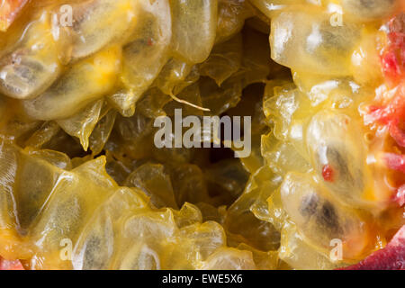 Nahaufnahme von Passionsfrucht Stockfoto