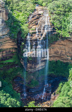 Wentworth Falls, Blue Mountains, Australien. Stockfoto