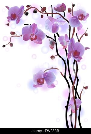 Vertikale Hintergrund mit violetten Orchideen Stock Vektor
