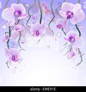 Vektor Aquarell Hintergrund mit Orchideen Stock Vektor