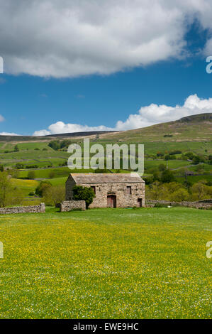 Traditionelle Scheune im Frühsommer in Wensleydale, Stand intraditional Wildblumenwiesen. Yorkshire Dales National Park, U Stockfoto