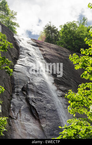 Hickory Mutter verliebt sich in Chimney Rock State Park, North Carolina, USA Stockfoto