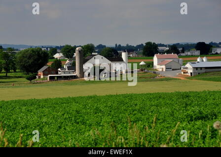 Lancaster County, Pennsylvania: Unberührte Amish Bauernhöfe inmitten der Felder der Sommerkulturen Stockfoto