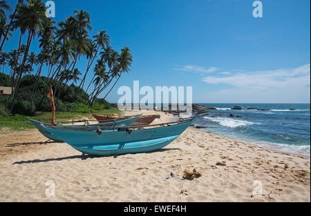 Strand mit schmalen Türkis leichte Holz Boote am Rocky Point Strand am 14. Dezember 2015 in Tangalle, Sri Lanka. Stockfoto