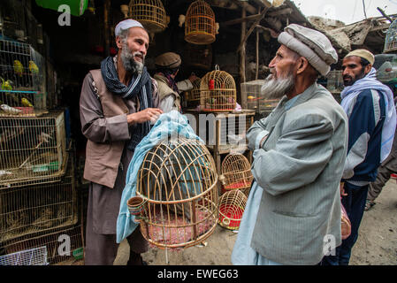 Mann in traditioneller afghanischer Kleidung kauft Fasan auf dem Markt der Vögel in Kabul, Afghanistan Stockfoto