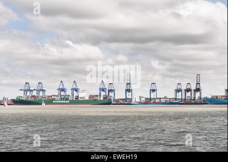 Felixstowe Verschiffungshafen docks mit massiven Kräne Laden von großen Schiffen die größte Containerhafen UK Stockfoto