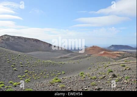 Lanzarote, Kanarische Inseln, Spanien. Berge von Brand und kleine grüne Büsche im Timanfaya Nationalpark. Stockfoto