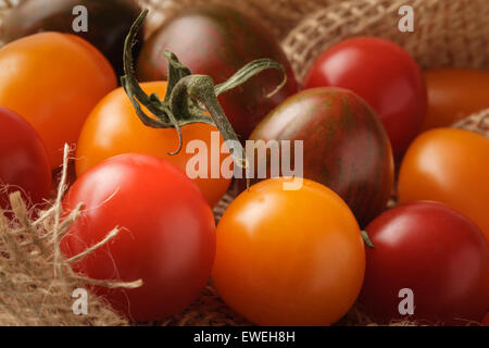 Bunte Bio Tomaten Stockfoto