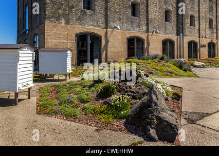 Die alte Noma Restaurant, Christianshavn, Kopenhagen, Dänemark Stockfoto