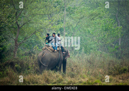 Touristen auf einem indischen Elefanten im Chitwan Nationalpark, Nepal Stockfoto