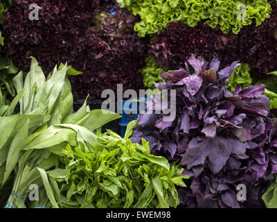 14. Juni 2015 - Kräuter: Basilikum, Salat, Lauch, Rucola © Igor Golovniov/ZUMA Draht/Alamy Live News Stockfoto