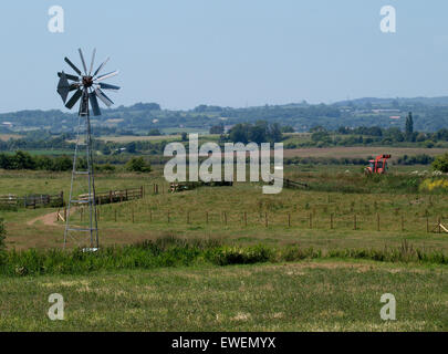 Wind angetriebene Wasserpumpe auf den Somerset Levels, UK Stockfoto