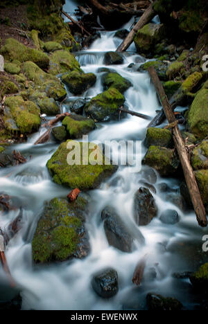 Kaskaden unterhalb Lupine Fälle im Strathcona Provincial Park, Vancouver Island, British Columbia, Kanada. Stockfoto