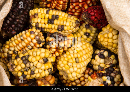 Viele Sorten von Hand angebautem Mais auf den ländlichen Bauernmärkten in Peru. Stockfoto