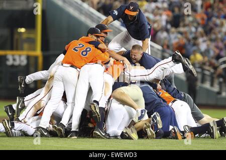 Omaha, Nebraska, USA. 24. Juni 2015. Virginia-Team in den Hund Haufen während des College World Series-Spiels zwischen Vanderbilt und Virginia im TD Ameritrade Park in Omaha, Nebraska auf 24. Juni 2015. © Mark Kuhlmann/ZUMA Wire/ZUMAPRESS.com/Alamy Live-Nachrichten Stockfoto