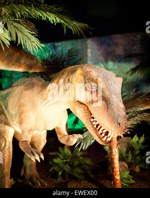 Eine Nahaufnahme von einem lebensgroßen Modell ein Albertosaurus an das Telus World of Science in Edmonton, Alberta, Kanada. Stockfoto