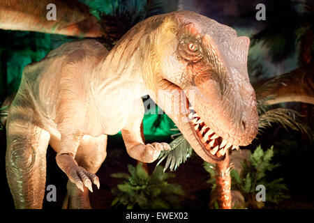 Eine Nahaufnahme von einem lebensgroßen Modell ein Albertosaurus an das Telus World of Science in Edmonton, Alberta, Kanada. Stockfoto