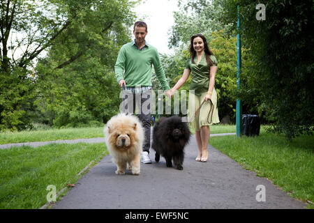 Junge Paare, die mit Hunde Stockfoto