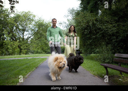 Junge Paare, die mit Hunde Stockfoto