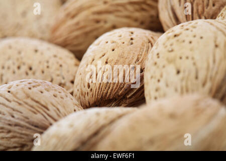 Mandeln in der Schale auf weißem Hintergrund Stockfoto