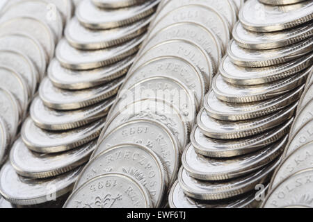 Polnische Währung - Studio gedreht Stockfoto