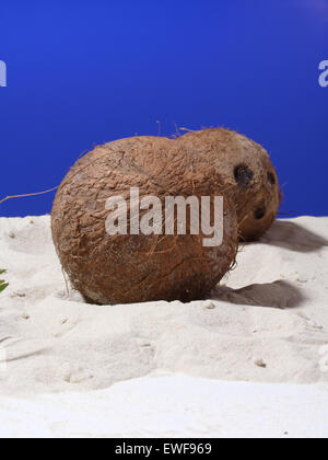 Nahaufnahme der Kokosnuss auf sand Stockfoto